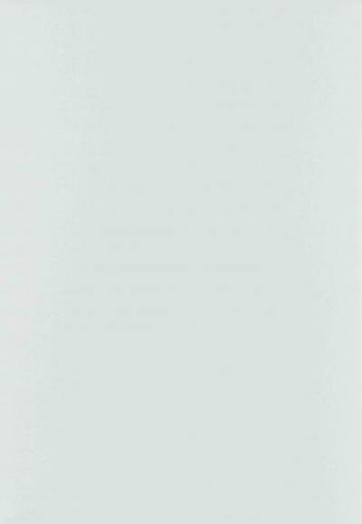 Fashion Grey