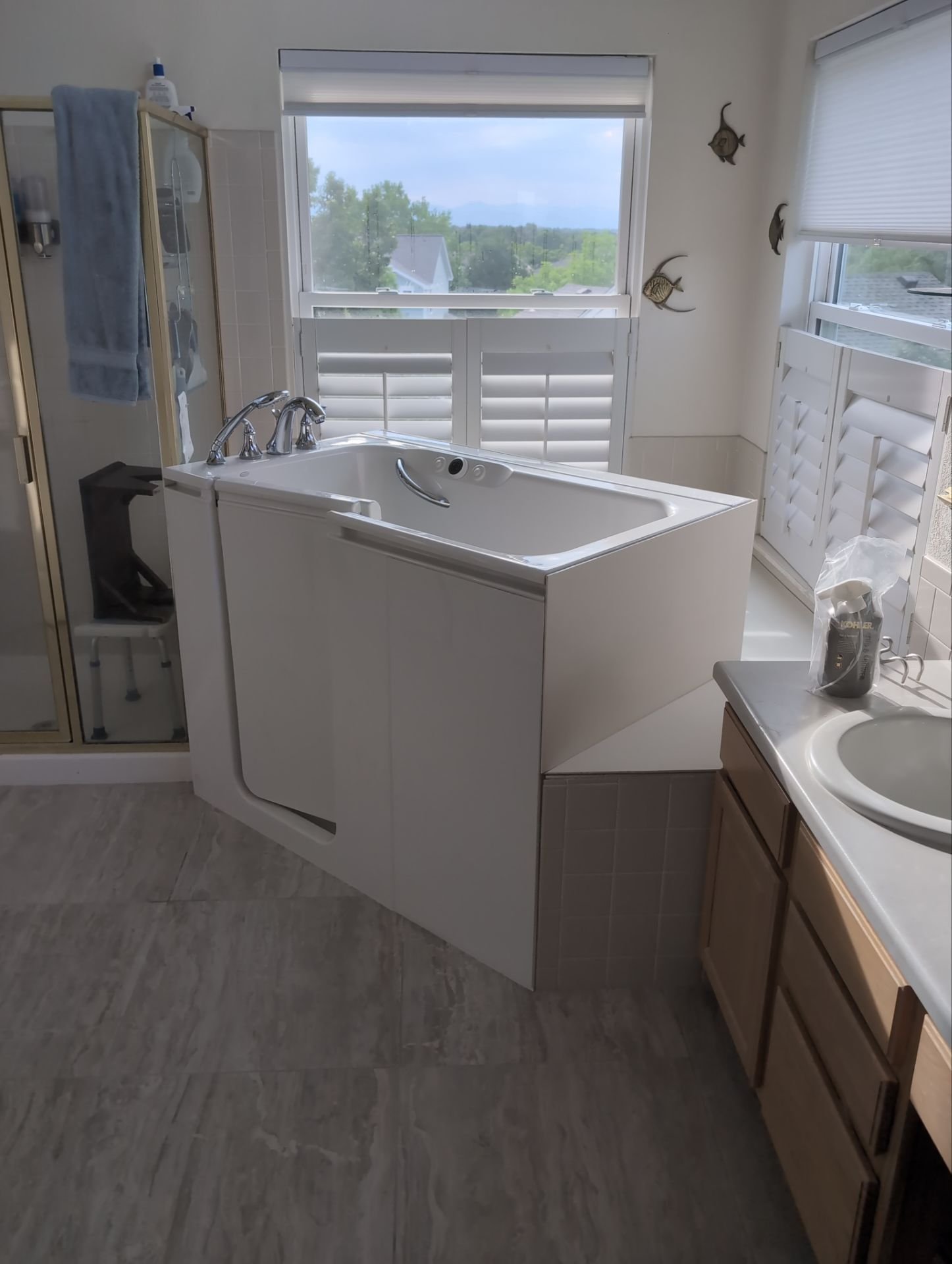 Modern walk-in tub installed in Aurora, CO home with panoramic mountain views and bright natural lighting.