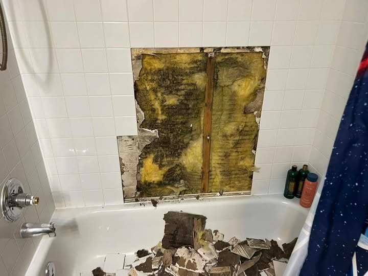 Cutaway view of a shower wall showing hidden mold growth behind tile and drywall in a residential bathroom